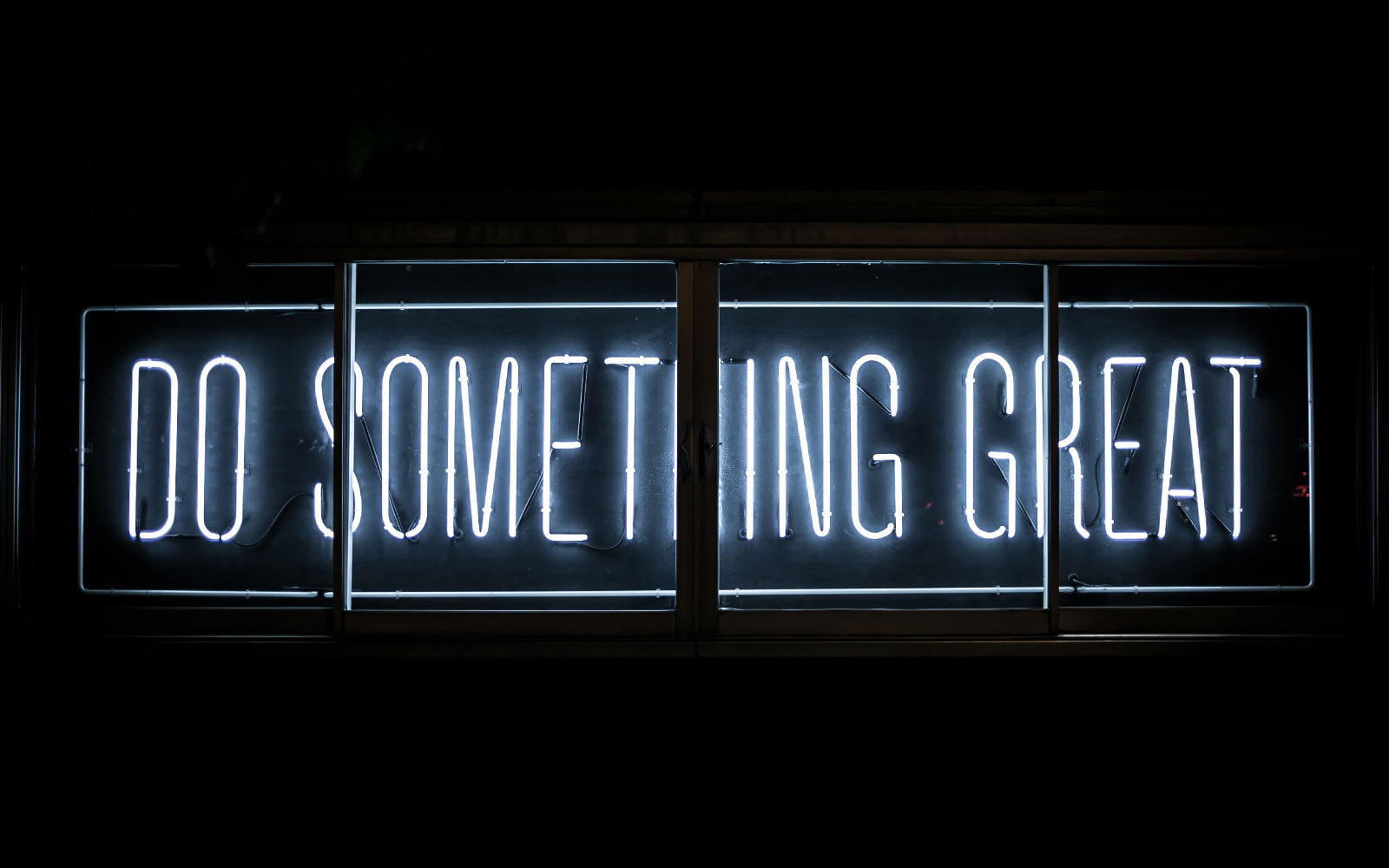 Phasellus rhoncus ante sollici tudin